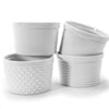 Textured Ramekins - Set of 4 (12oz)