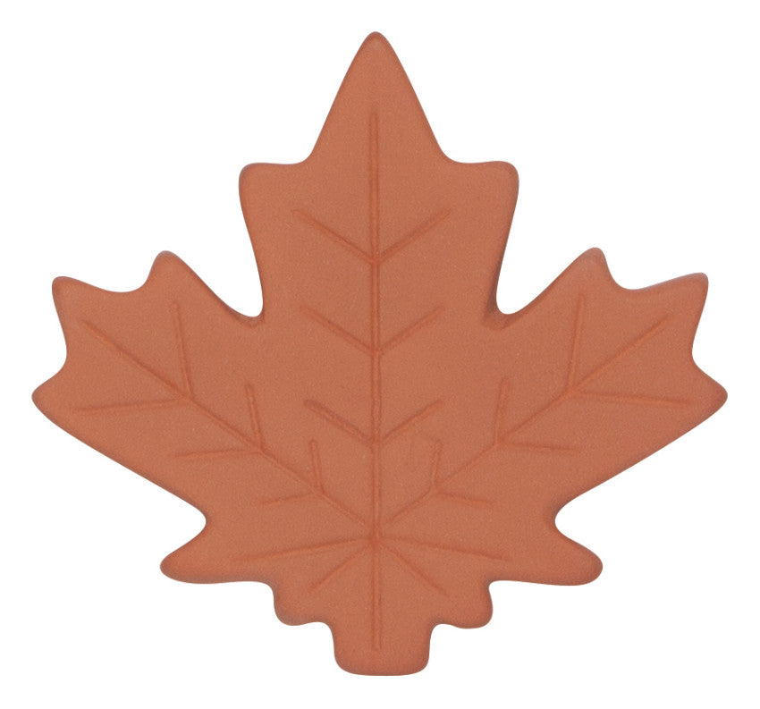 5075007_large.jpg