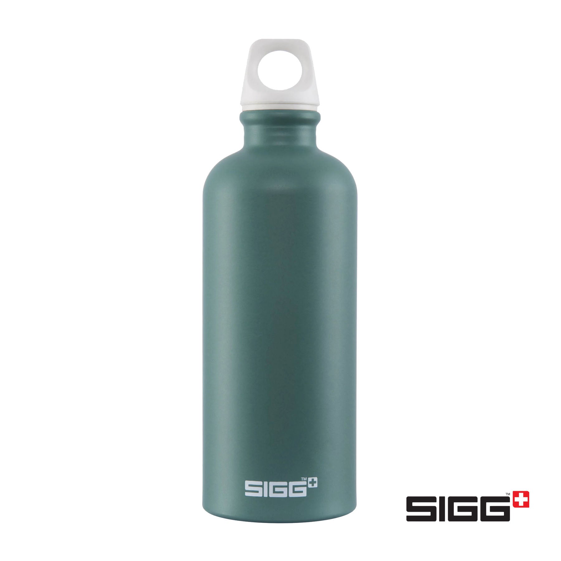 SIGG Elements 20oz Water Bottle
