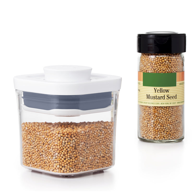 OXO Good Grips Pop Container - Mini Square Mini (0.2 Qt.)