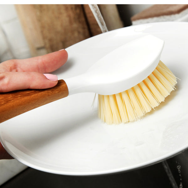 Dish Brush