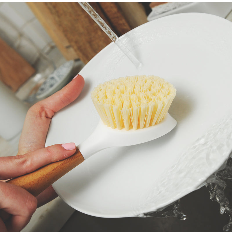 Dish Brush