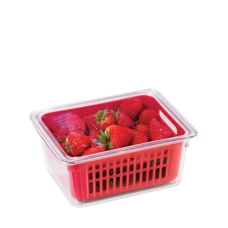 Oggi Single Berry Bin
