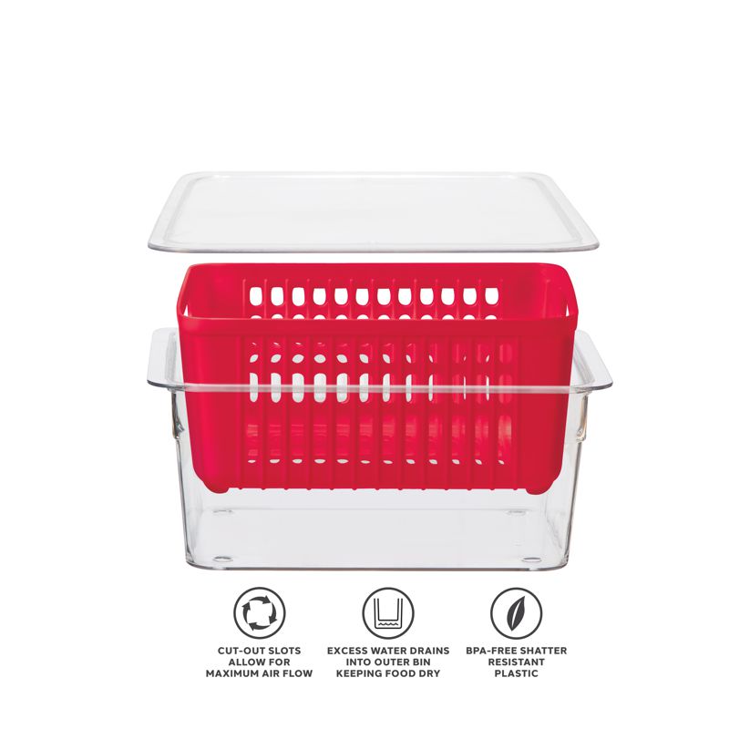 Oggi Single Berry Bin