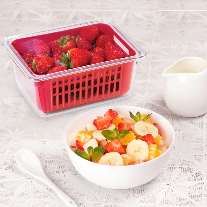 Oggi Single Berry Bin
