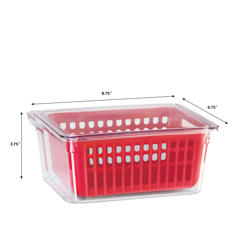 Oggi Single Berry Bin