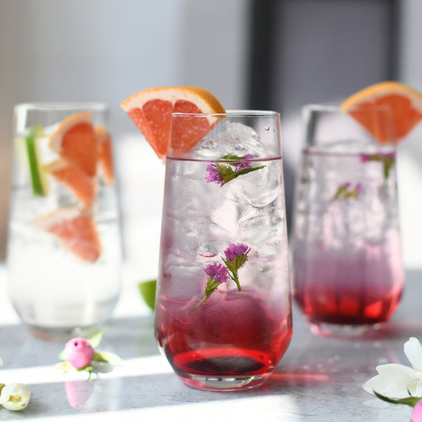 Highball Glasses - Set of 6