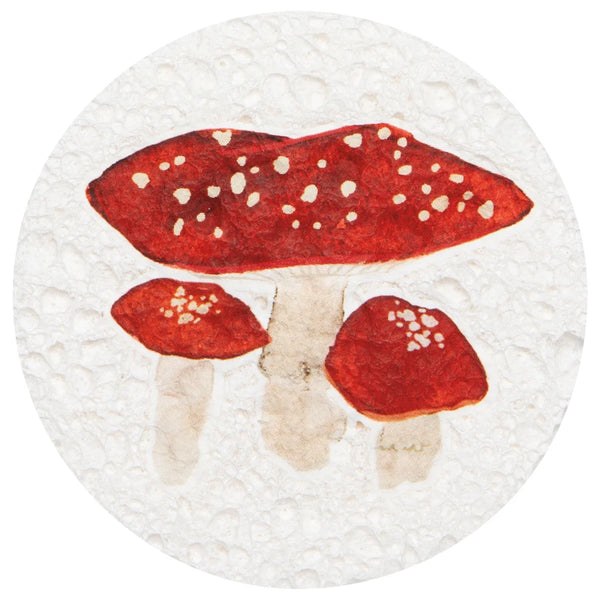 Autumn Bounty Sponge