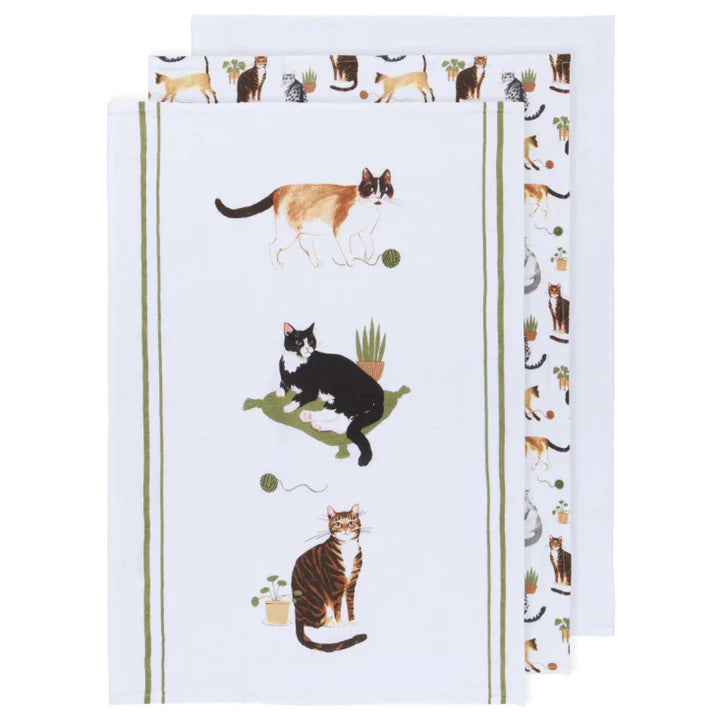 Cat Collective Bakers Floursack Dishtowels - Set of 3