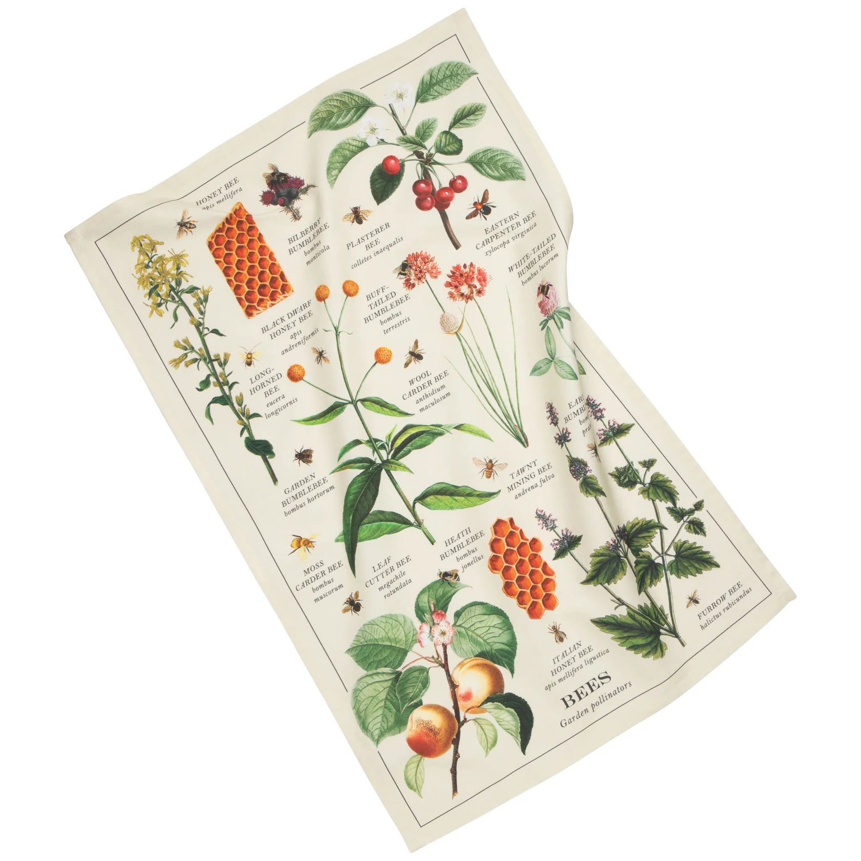 Bee Varieties Fine Print Dishtowel