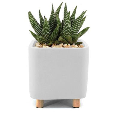 Natural Living Quatu Square Planter Small White