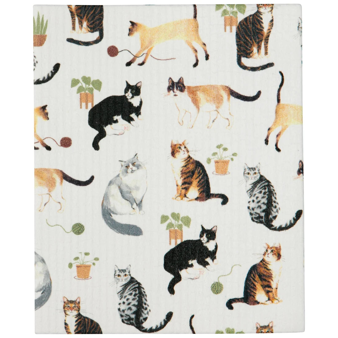 Countryside Eco Dishcloth Roll
