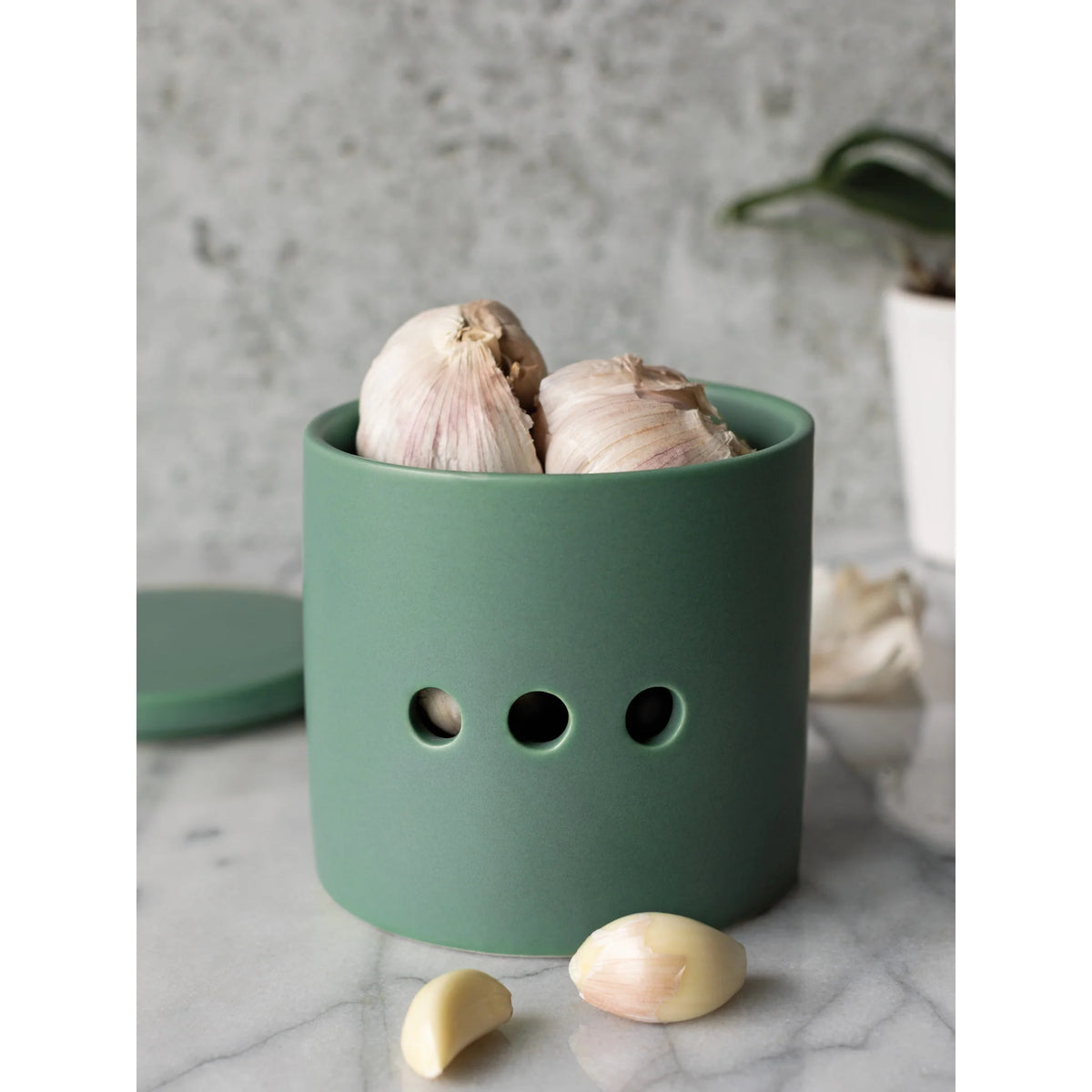 Matte Elm Green Garlic Keeper