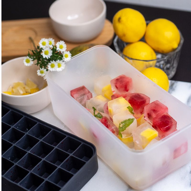 Ice Box & Tray Set